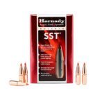 Hornady .310 (7,62x39) 123gr SST