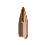 Hornady .224 35gr NTX