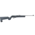 Ruger 10/22 Takedown .22LR