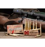 Hornady 9,3x62 286gr Interlock - slika 2